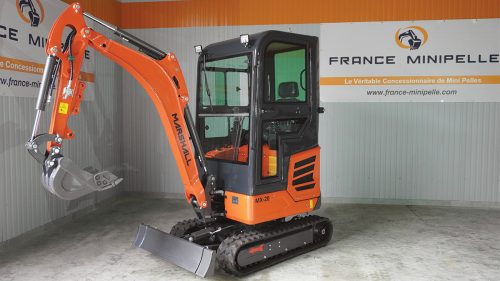 MINI PELLE MARSHALL MX-20C